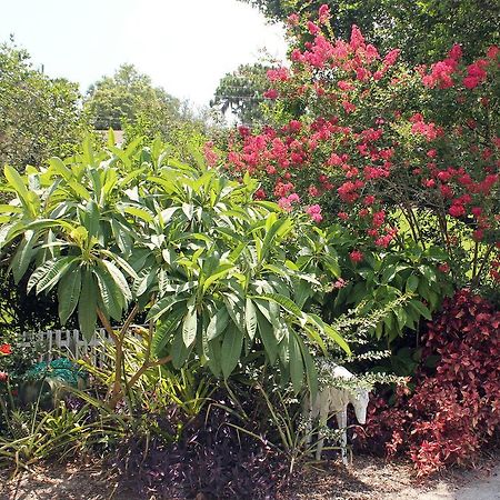 מאונט דורה Heron Cay Lakeview Bed & Breakfast מראה חיצוני תמונה