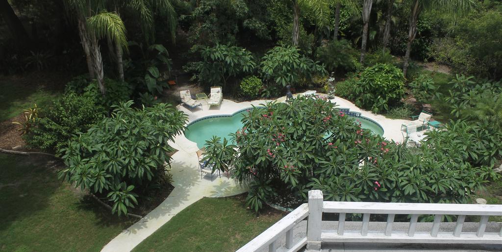 מאונט דורה Heron Cay Lakeview Bed & Breakfast מראה חיצוני תמונה