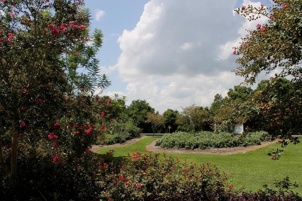 מאונט דורה Heron Cay Lakeview Bed & Breakfast מראה חיצוני תמונה