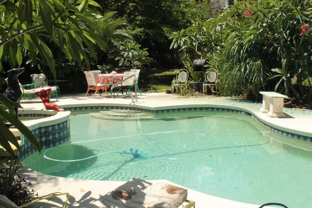 מאונט דורה Heron Cay Lakeview Bed & Breakfast מראה חיצוני תמונה