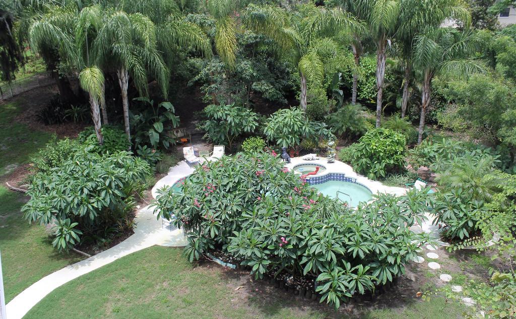 מאונט דורה Heron Cay Lakeview Bed & Breakfast מראה חיצוני תמונה