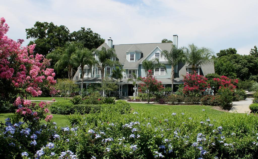 מאונט דורה Heron Cay Lakeview Bed & Breakfast מראה חיצוני תמונה